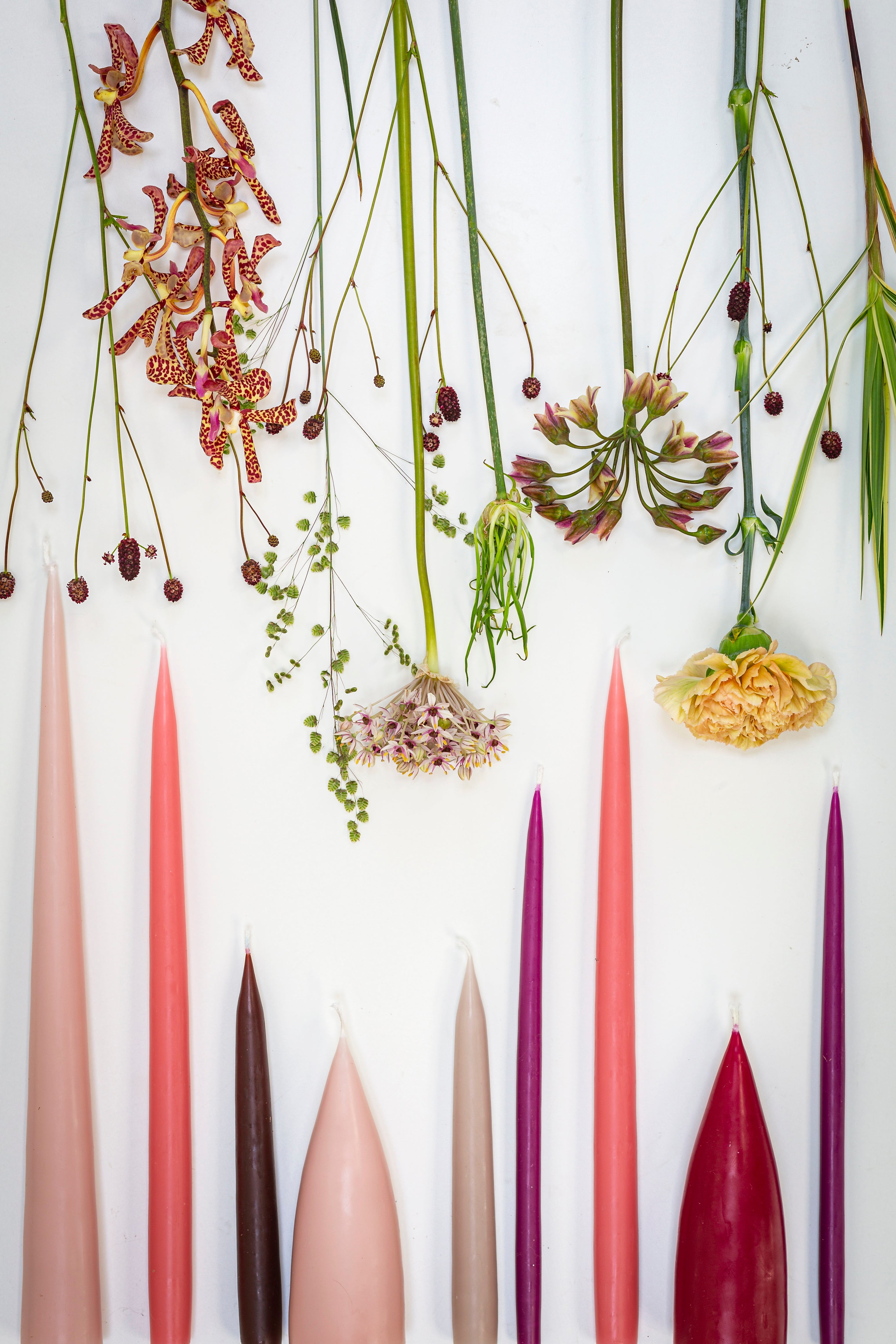 Dyppede stagelys, Kirsebær - 4 stk.